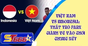 Việt Nam vs Indonesia