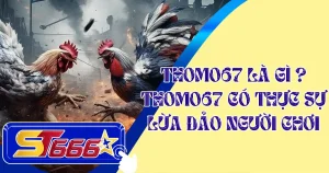 thomo-67