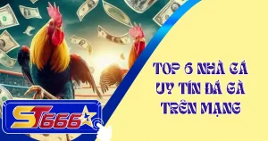 top-6-nha-cai-da-ga-uy-tin