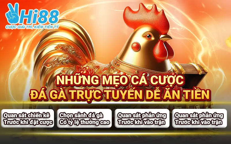 meo-da-ga-cuoc-da-ga-truc-tuyen