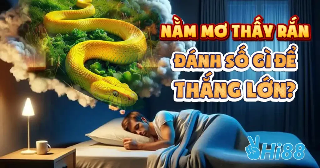 nam-mo-thay-ran