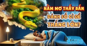 nam-mo-thay-ran